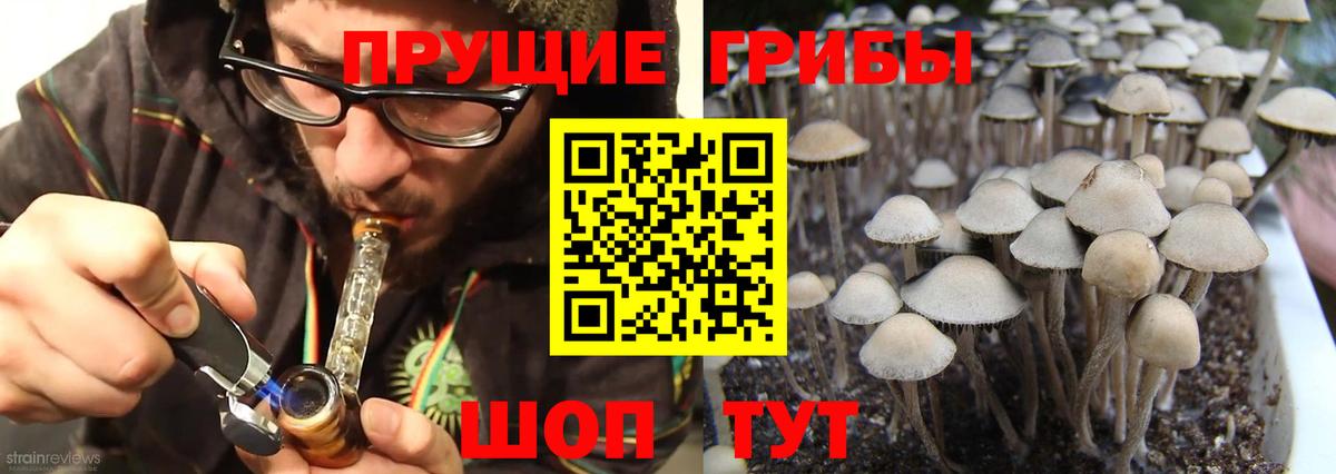 Галлюциногенные грибы Cubensis Будённовск