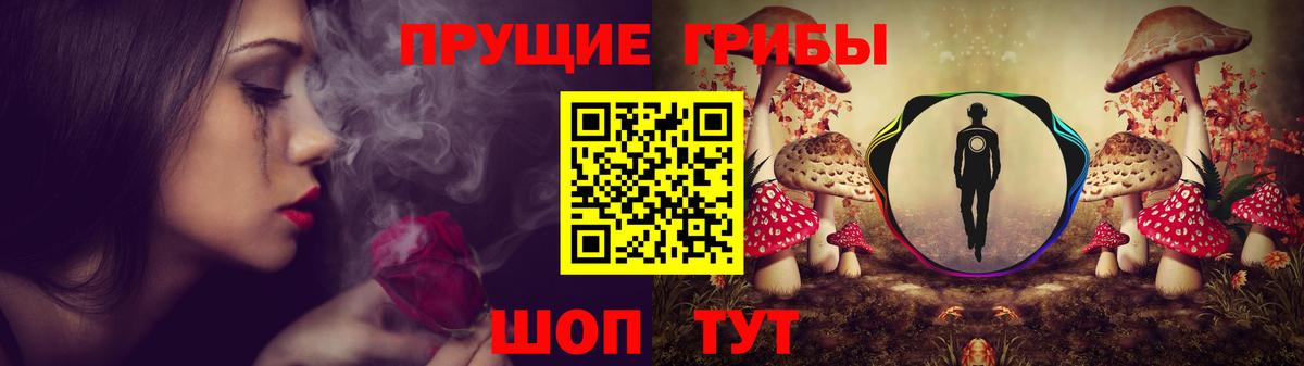 Будённовск  Галлюциногенные грибы ЛСД  Вход с VPN 
